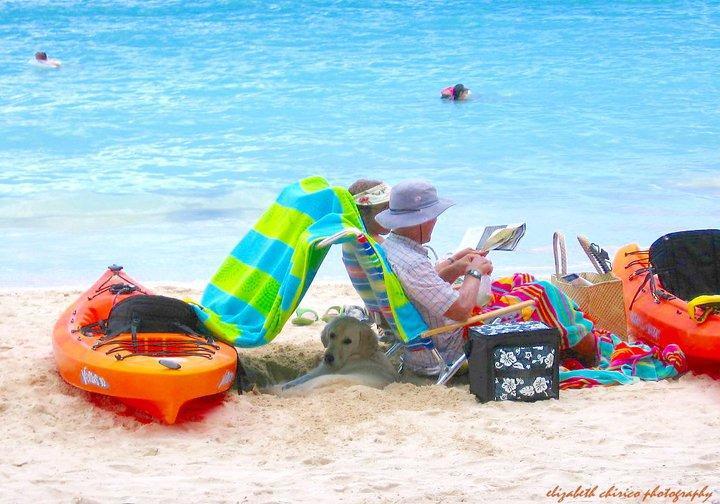 كايلوا Paradise Palms B & B المظهر الخارجي الصورة