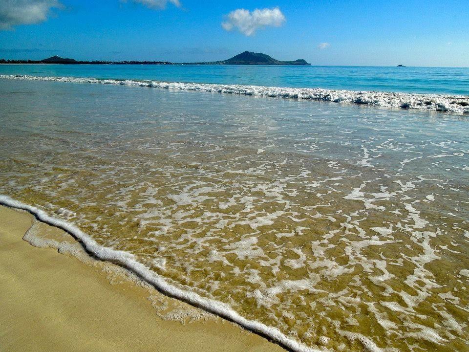 كايلوا Paradise Palms B & B المظهر الخارجي الصورة